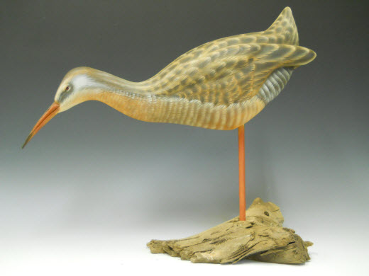 Clapper Rail