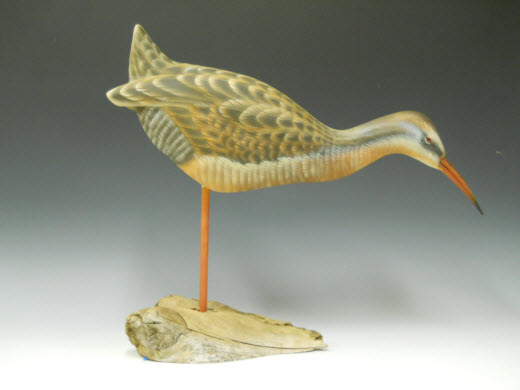 Clapper Rail